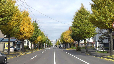 交通量は少ない