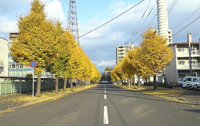 胃腸も順調