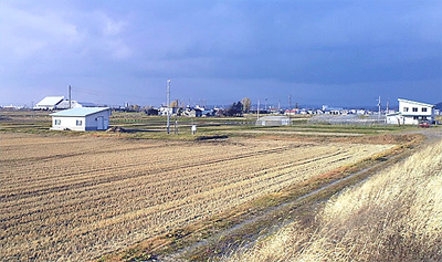 水田地帯