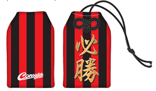 この御守が目に入らぬかっ！