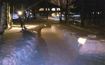 芸森の路