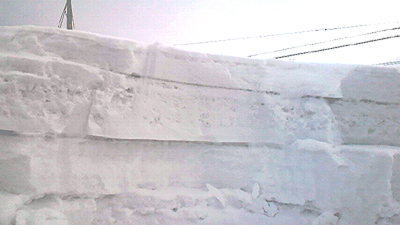 積雪層の断面