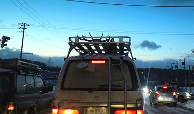 落ちて来たら窓に刺さるな・・