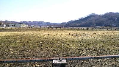 ♪ただ一面に立ちこめた 牧場の朝の馬糞の臭い・・