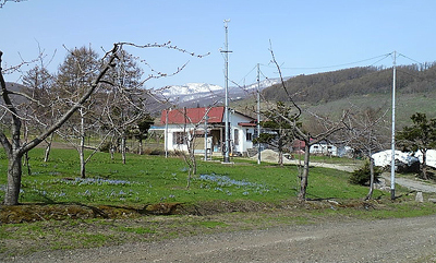 ニッカは日本果汁