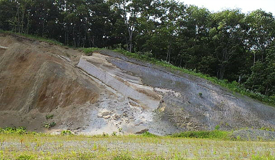 地質巡検中