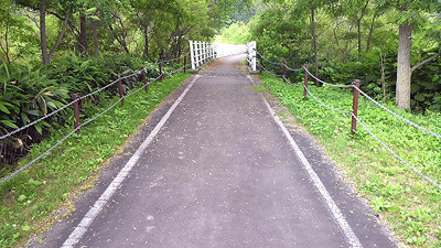 今度は川を渡る橋へ
