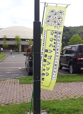 特定外来生物