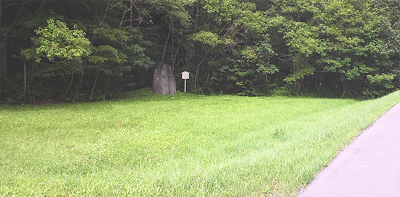 何？この草地