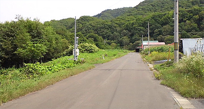 左側が空知川上流部