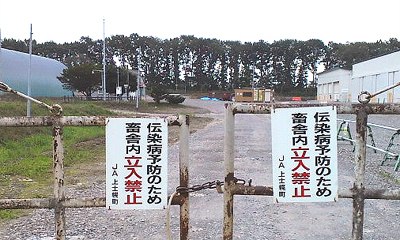 畜舎に入らなければ・・