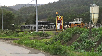 牛が轢かれて善光寺参り