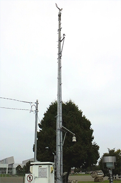 北東の風