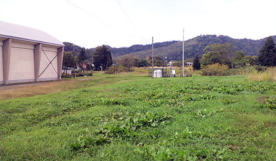 倉庫の裏というか駅の裏だった