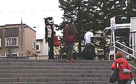 龍頭蛇尾な熊
