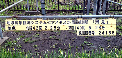 観測所番号まで知ってるのかっ！