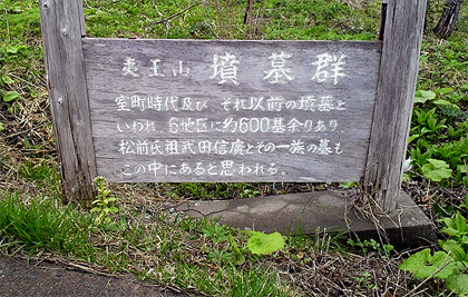どこを掘っても骨が出る
