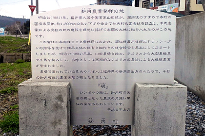 綿羊といえば仁義好かん