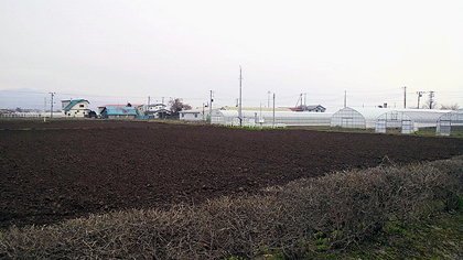 農場の中