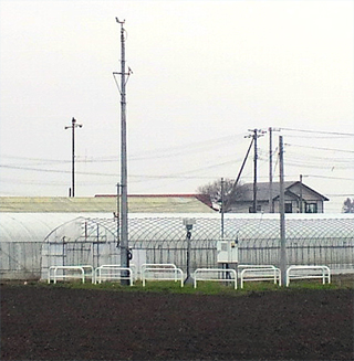 後方にガラスの温室