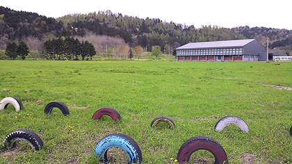まるで牧草地