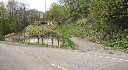 さらに登る脇道