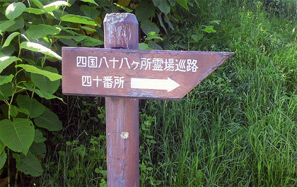 ここは四国じゃない