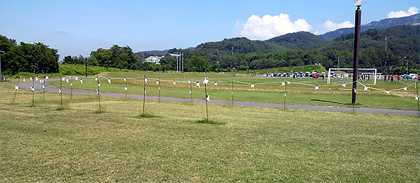 注連縄か