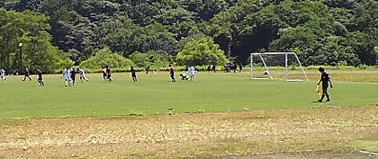 ピンチをセイブ