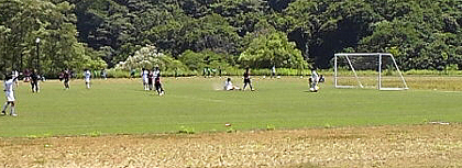 拾われる