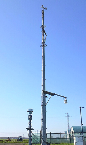 草原のようなもの