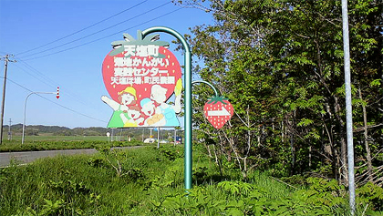 看板を見ると楽しそうだが