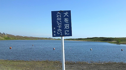 人間はいいのか？