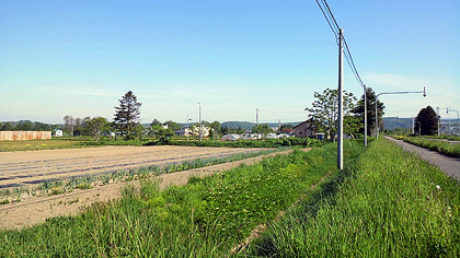予想した畑の中だが