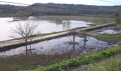 ここまでダム湖