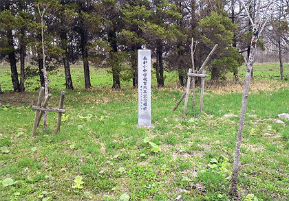 記念になってない