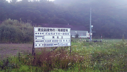 一時にしては草が生えてる