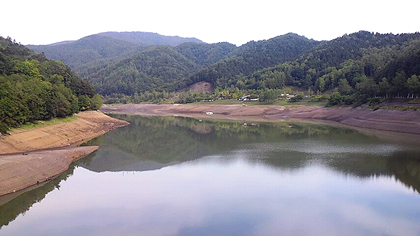 静かな湖畔の森の陰