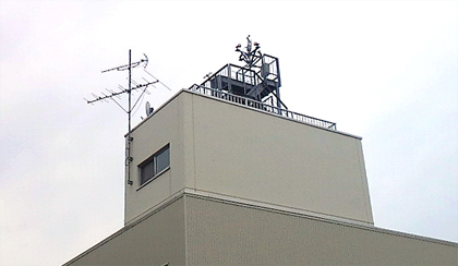 高い所が好き