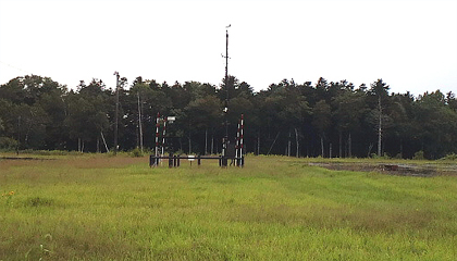 広い原っぱ