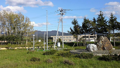 岩と樹