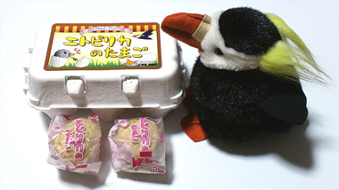 賞味期限：孵化するまで