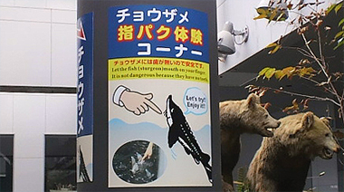 口パクではない