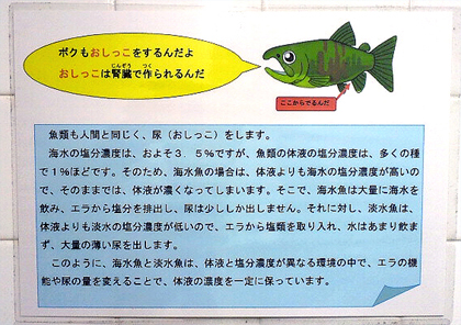 塩分の管理は重要