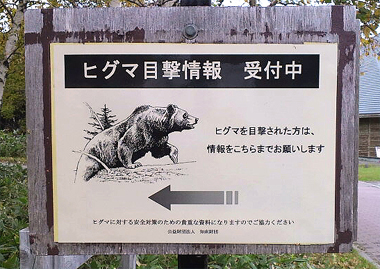 謝礼は出ません