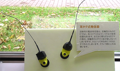 熊のピアス