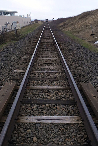 再び遭うとは思わなかった