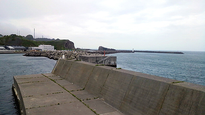 漁港の沖というより脇