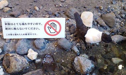 生き物だったら修理では済まない