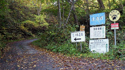 運命の分かれ道